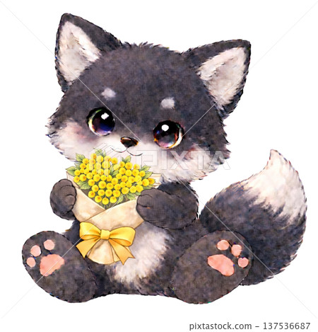 [International Women's Day] Illustration of a black fox holding a bouquet of mimosa 137536687