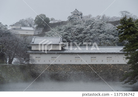 白雪皚皚的彥根城 白雪皚皚的彥根城 137536742