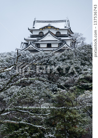 Snow-capped Hikone Castle Snow-capped Hikone Castle 137536743