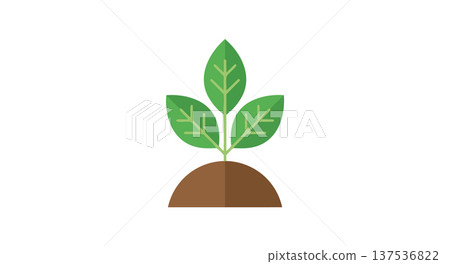 Fresh green sprout rising from soil mound showing new beginning nature life growth agriculture 137536822