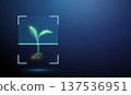 3d plant inside digital scanning frame Plant inspection, environmental study, genetic research, biological assessment, standards compliance, certification verification concept. 137536951