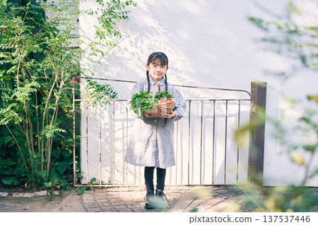 Girl holding vegetables in the garden 137537446