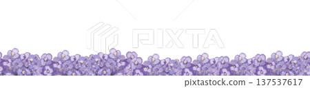 Violet border with purple flowers. Seamless floral pattern. Watercolour illustration for spring invitations. Violet border with purple flowers. Seamless floral pattern. Watercolour illustration for spring invitations. 137537617