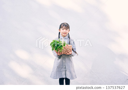 Girl holding vegetables in the garden 137537627