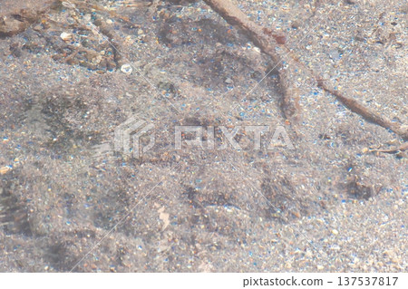 Clear spring water stirring the sand Clear spring water stirring the sand 137537817