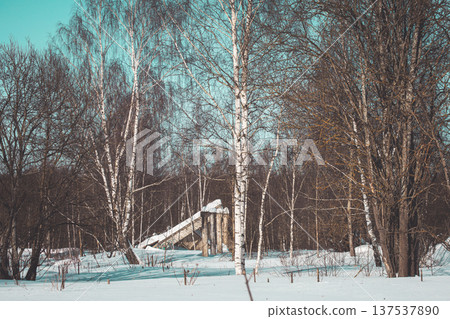 Abandoned Concrete Structure in Winter Forest. Ruined Building Among Bare Birch Trees in Snowy Landscape. Abandoned Concrete Structure in Winter Forest. Ruined Building Among Bare Birch Trees in Snowy Landscape. 137537890