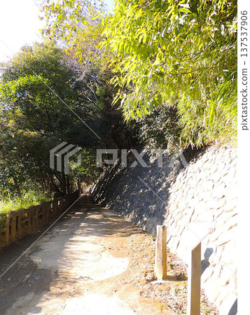 Philosophy Hall Park 137537906