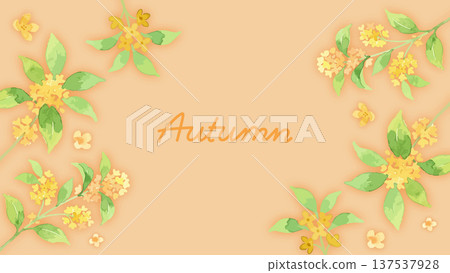 Watercolor style illustration of osmanthus Watercolor style illustration of osmanthus 137537928