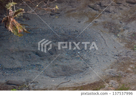 Kakita River spring water Kakita River spring water 137537996