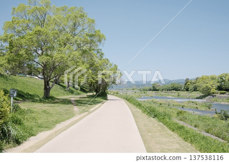 Kamogawa River in spring: A green riverside promenade and bright scenery 137538116