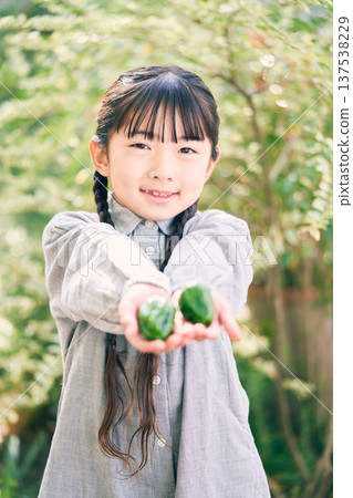A girl offering a green pepper A girl offering a green pepper 137538229