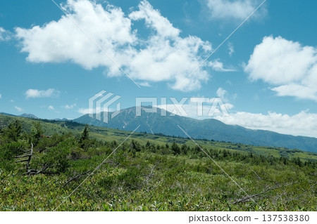 Summer at Mount Yakushi: The greenery and majestic mountain scenery of Dainichidaira Summer at Mount Yakushi: The greenery and majestic mountain scenery of Dainichidaira 137538380