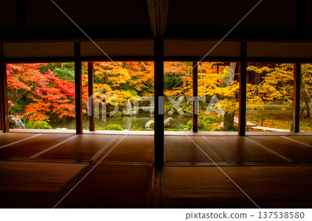 京都蓮華寺的秋葉庭園 137538580