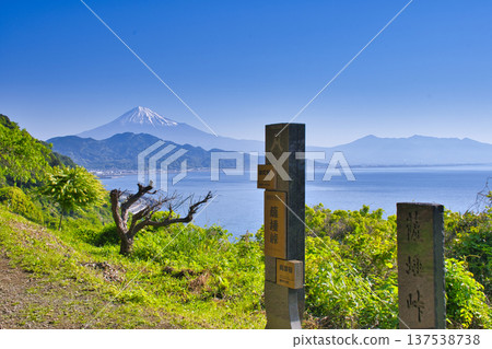 [Shizuoka Prefecture] View of Mt. Fuji from the Sattata Pass hiking course 137538738
