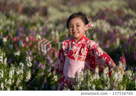 preschool child girl in yukata (kimono dress) with angelonia flower blooming in garden 137538789