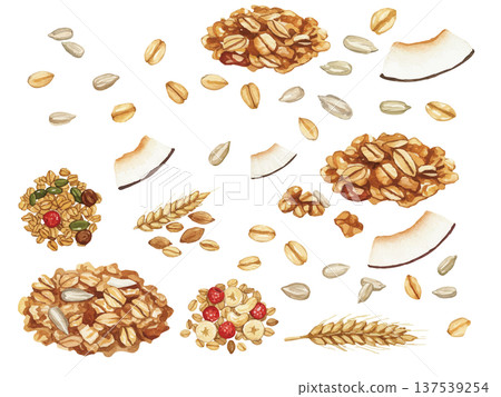 水彩風格的格蘭諾拉麥片插畫 137539254