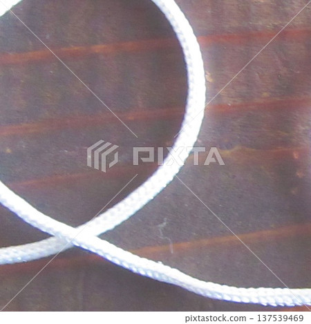 線 137539469