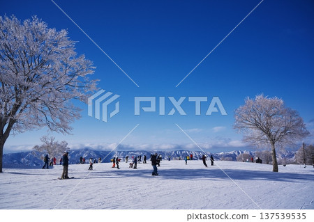 冬季的野澤溫泉滑雪場:被霜雪覆蓋的樹木環繞的天堂般雪坡 冬季的野澤溫泉滑雪場:被霜雪覆蓋的樹木環繞的天堂般雪坡 137539535