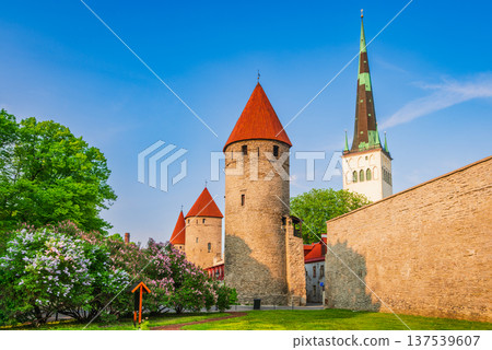Tallinn, Estonia. Old Town one of the best-preserved systems of medieval fortifications in Europe Tallinn, Estonia. Old Town one of the best-preserved systems of medieval fortifications in Europe 137539607