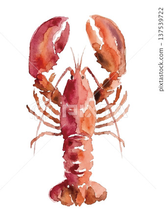 Watercolor style lobster illustration Watercolor style lobster illustration 137539722