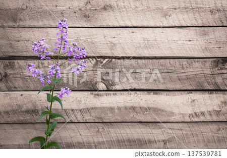 Wild flowers on old grunge wooden background 137539781