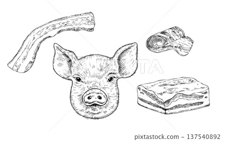 Vector set with pig head, Bacon Strip, lard. Graphic ink Pork belly meat illustration, isolated on background. Hand drawn line sketch. For designers, prints, logo, icon, menu, postcards, holiday Vector set with pig head, Bacon Strip, lard. Graphic ink Pork belly meat illustration, isolated on background. Hand drawn line sketch. For designers, prints, logo, icon, menu, postcards, holiday 137540892