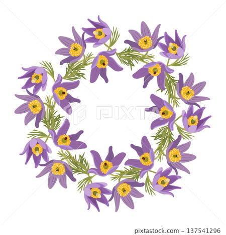 Pasque flower frame. Flat vector clipart illustration with isolated background. Pasque flower frame. Flat vector clipart illustration with isolated background. 137541296