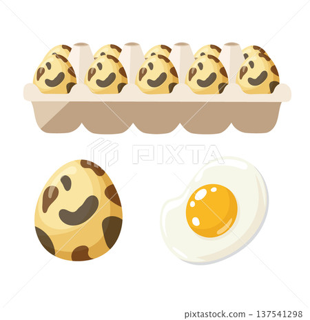 Quail egg. Flat vector clipart illustration with isolated background. 137541298