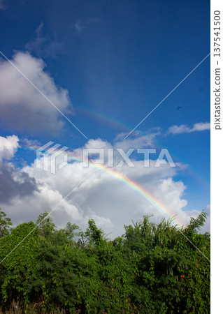 藍天綠地上空出現一道彩虹 137541500