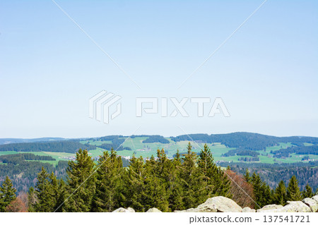 Majestic mountain view from a rocky elevation surrounded by lush green trees under a clear blue sky in a tranquil natural setting Majestic mountain view from a rocky elevation surrounded by lush green trees under a clear blue sky in a tranquil natural setting 137541721