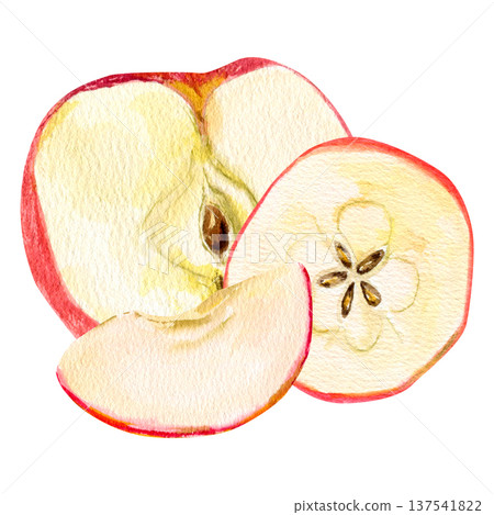 A high-quality, hand-drawn composition of a juicy red half an apple slice skin featuring A high-quality, hand-drawn composition of a juicy red half an apple slice skin featuring 137541822
