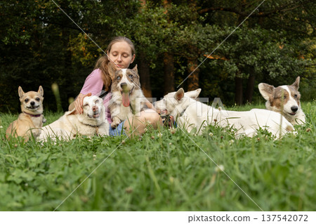 Professional dog walker young woman with pack of dogs is sitting on grass and enjoying walk animals. Professional dog walker young woman with pack of dogs is sitting on grass and enjoying walk animals. 137542072