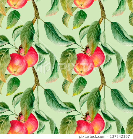 watercolor hand drawn seamless pattern with juicy red apples and green leaves on a green background watercolor hand drawn seamless pattern with juicy red apples and green leaves on a green background 137542397