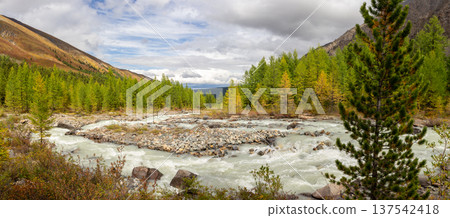 View to Aktru river flowing from glacier. Alpine camps and valley in blue sky, Autumn sunny day. Landscape Mountains in Siberia. Chuiskiy Range, Altai Republic, Russia, Asia. View to Aktru river flowing from glacier. Alpine camps and valley in blue sky, Autumn sunny day. Landscape Mountains in Siberia. Chuiskiy Range, Altai Republic, Russia, Asia. 137542418