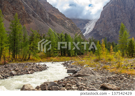 View to Aktru river flowing from glacier. Alpine camps and valley in blue sky, Autumn sunny day. Landscape Mountains in Siberia. Chuiskiy Range, Altai Republic, Russia, Asia. 137542429