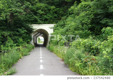 A promenade utilizing the former Senseki Line line, which has been relocated to higher ground: Kameoka Tunnel (on the former Nobiru Station side) 137542480
