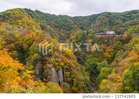 The V-shaped valley of Naruko Gorge and the natural beauty of the area, seen from Ofukazawa Bridge in Osaki City, Miyagi Prefecture. 137542605
