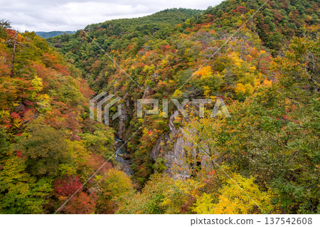 The V-shaped valley of Naruko Gorge and the natural beauty of the area, seen from Ofukazawa Bridge in Osaki City, Miyagi Prefecture. The V-shaped valley of Naruko Gorge and the natural beauty of the area, seen from Ofukazawa Bridge in Osaki City, Miyagi Prefecture. 137542608