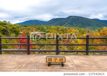 Signboard of Narukokyo Rest House Observatory, autumn leaves starting to turn color, and Ofukazawa Bridge, Osaki City, Miyagi Prefecture 137542623
