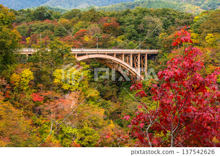 Osaki City, Miyagi Prefecture: A panoramic view of Naruko Gorge and its arch bridge as the leaves begin to change color 137542626