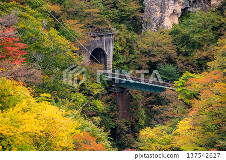 The vibrant autumn leaves of Naruko Gorge and the railway bridge and tunnel of the Rikuu East Line in Osaki City, Miyagi Prefecture The vibrant autumn leaves of Naruko Gorge and the railway bridge and tunnel of the Rikuu East Line in Osaki City, Miyagi Prefecture 137542627