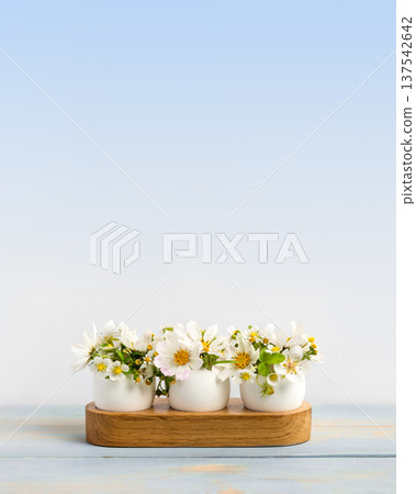 White Easter eggs in wooden stands with spring pear and strawberry flowers on a blue wooden table. Happy Easter 137542642