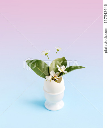 White Easter egg in a stand with spring pear flowers and leaves on a blue pink gradient background with space for text. Happy Easter White Easter egg in a stand with spring pear flowers and leaves on a blue pink gradient background with space for text. Happy Easter 137542646