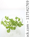 White celery in a glass bowl 137542769