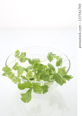 White celery in a glass bowl White celery in a glass bowl 137542769