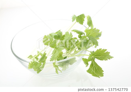 White celery in a glass bowl White celery in a glass bowl 137542770