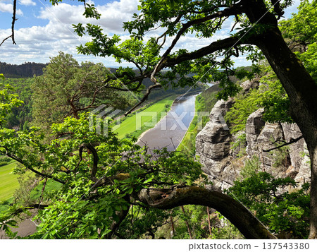 A view of the river on a bright sunny day through the branches of a tree on a cliff A view of the river on a bright sunny day through the branches of a tree on a cliff 137543380