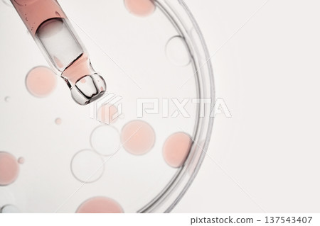 Pipette dropping serum into petri dish for cosmetic and scientific research Pipette dropping serum into petri dish for cosmetic and scientific research 137543407