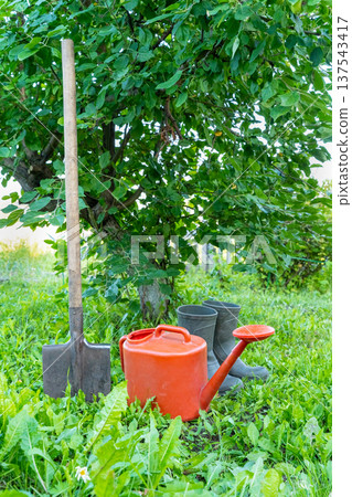 Gardening essentials: spade, watering can, rubber boots by lush green tree Gardening essentials: spade, watering can, rubber boots by lush green tree 137543417