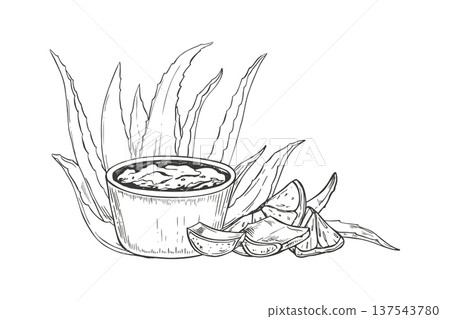 Aloe vera leaves, sliced lemon wedges, and bowl with mixture of ingredients monochrome vector illustration in black and white. Fresh cut succulent leaf, citrus fruit for natural cosmetic treatment Aloe vera leaves, sliced lemon wedges, and bowl with mixture of ingredients monochrome vector illustration in black and white. Fresh cut succulent leaf, citrus fruit for natural cosmetic treatment 137543780